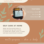 Everything Salve.png